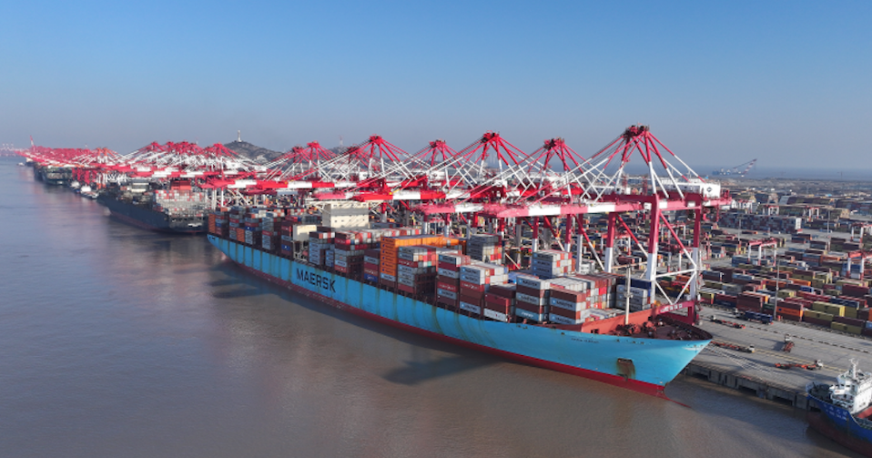 China to Adelaide Sea Shipping Service Ddp & Door to door