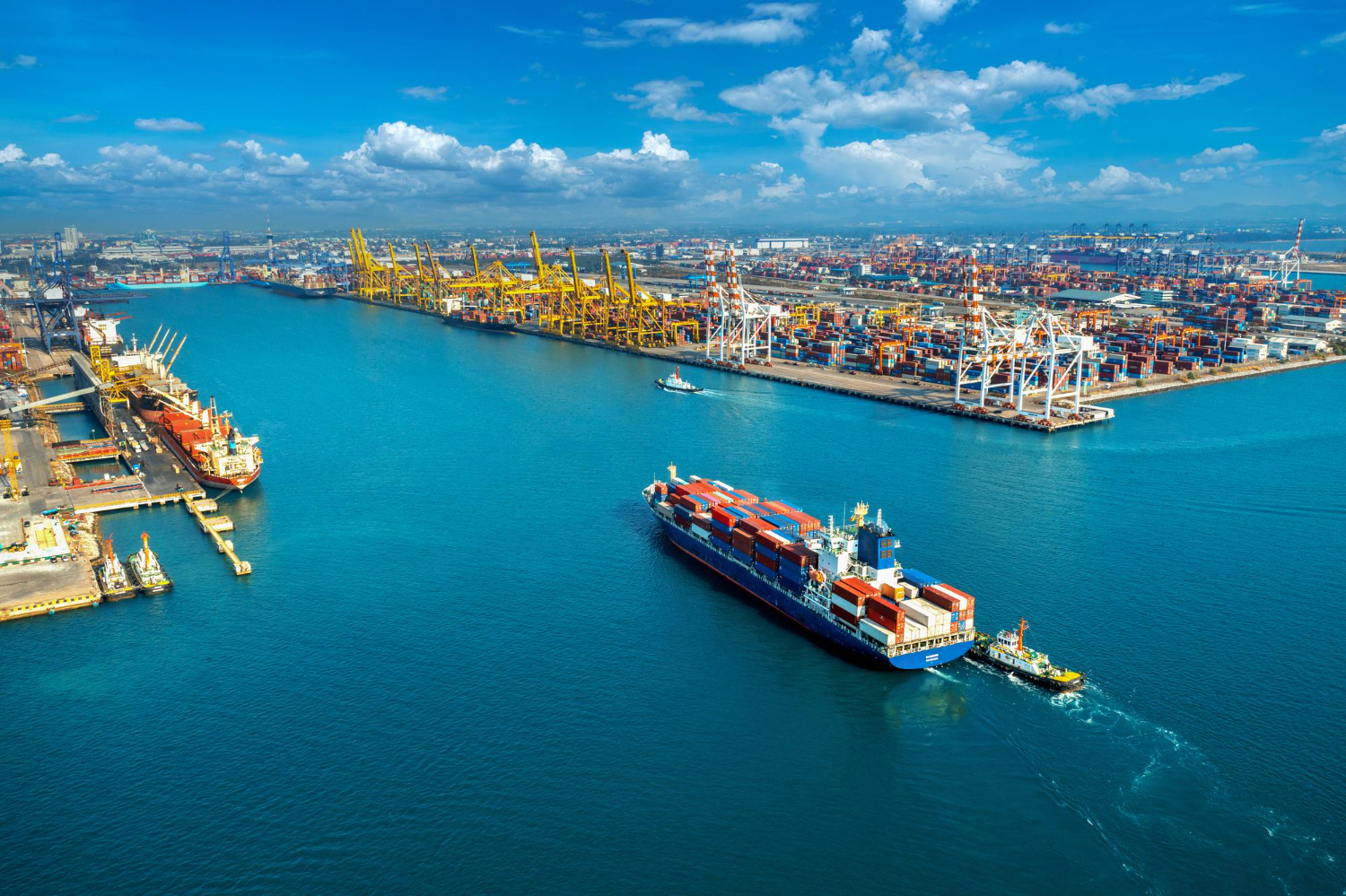 China to Vancouver Sea Shipping Service DDP & Door to door